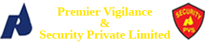  pvs logo